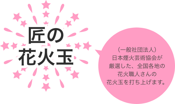 （一般社団法人）日本煙火芸術協会が厳選した、全国各地の花火職人さんの花火玉を打ち上げます。